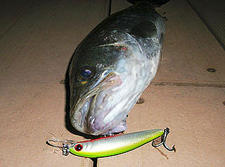 2010eMW-6.jpg