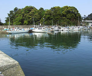 201152takahama-10.jpg