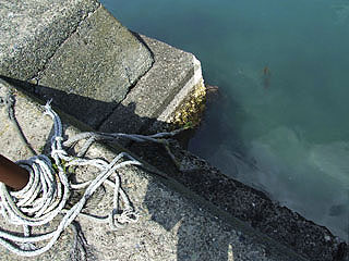 201152takahama-15.jpg