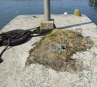 201152takahama-17.jpg