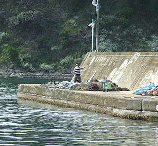 201152takahama-21.jpg