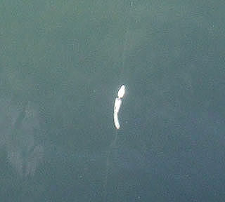 201152takahama-6.jpg