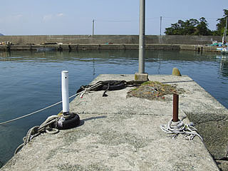 201152takahama-9.jpg