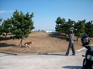 Ahonobono5.jpg