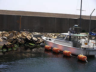 akasis11.jpg