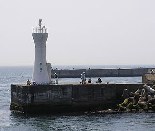 akasis24.jpg