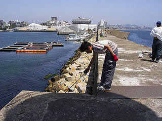 akasis26.jpg
