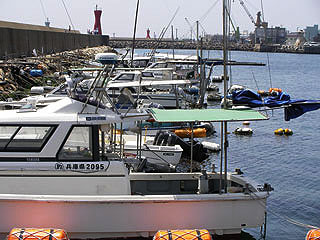 akasis3.jpg