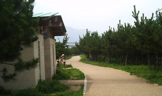 asiyaminamihama18.jpg