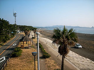 enjyugahama1.jpg