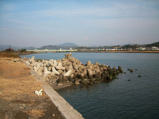enjyugahama11.jpg