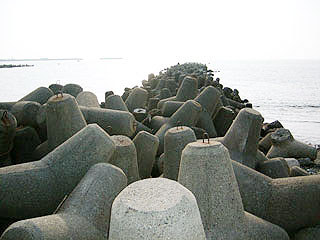 enjyugahama13.jpg