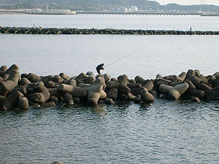 enjyugahama15.jpg