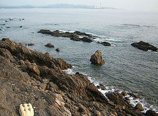 enjyugahama17.jpg