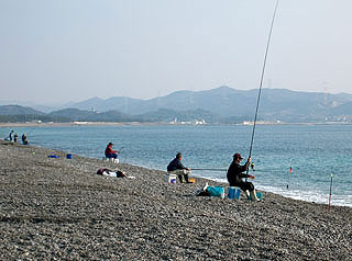 enjyugahama3.jpg