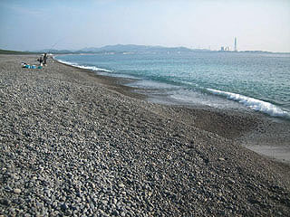 enjyugahama7.jpg
