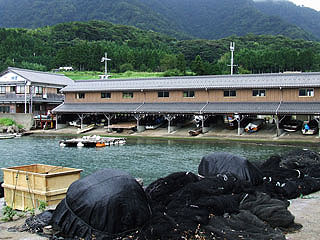 jinnoura9.jpg
