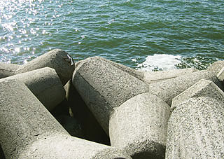 kisu-kaituka-6.jpg