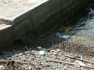 misakiP16.jpg