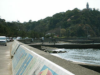 misakiP17.jpg