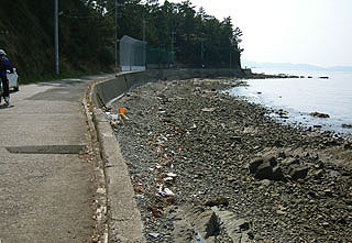 misakiP6.jpg
