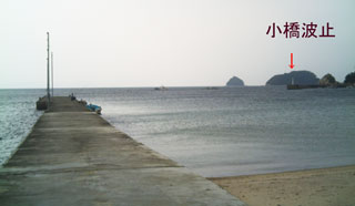 mituhama1.jpg