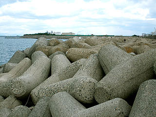 mokuzai-co11.jpg