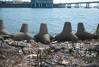 nakajimaU18.jpg
