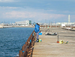 ootugawa-nagisa5.jpg