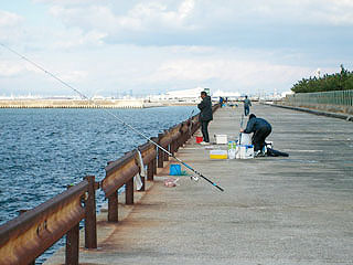 ootugawa-nagisa7.jpg