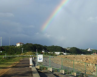 satomi8.jpg