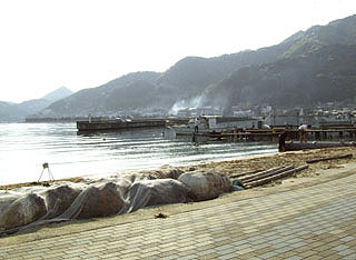 siohama6.jpg