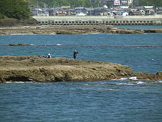 tanabe12.jpg