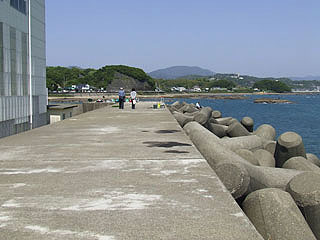 tanabe18.jpg
