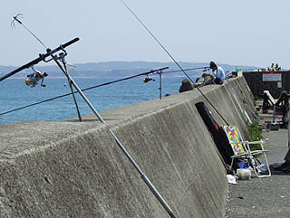 tanabe2.jpg