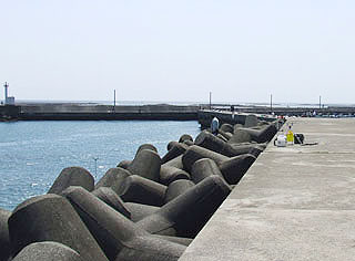 tanabe8.jpg