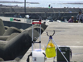 tanabe9.jpg