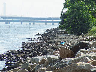 tukamoto12.jpg