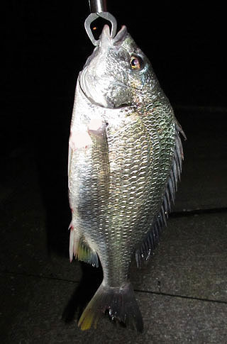 2011-32-34-namihaya-3.jpg
