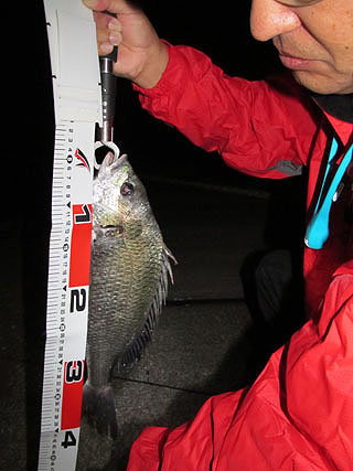 2011-32-34-namihaya-4.jpg
