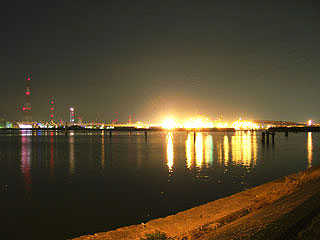 2011tining-1.jpg