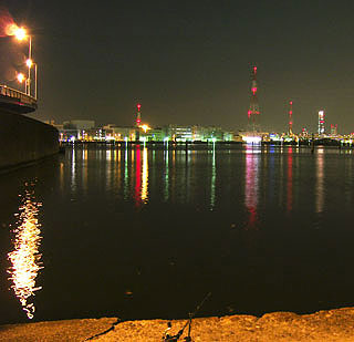 2011tining-2.jpg
