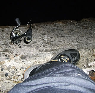 2011tining-3.jpg