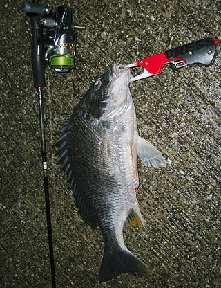 2011tining-A.jpg