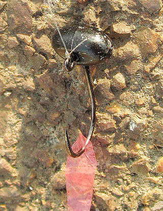 4.7-biniru-10.jpg