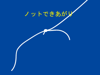 AN6.gif