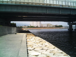 Aisidatami10.jpg
