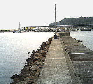 Fgiyokou10.jpg