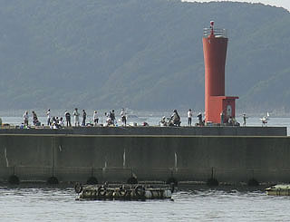 K-oohato1.jpg