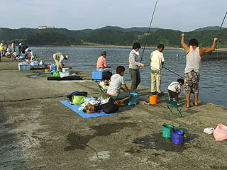 K-oohato12.jpg